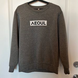 Nohant Seoul Sweater - Fits like Medium